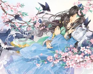 芒果视频黄无限看